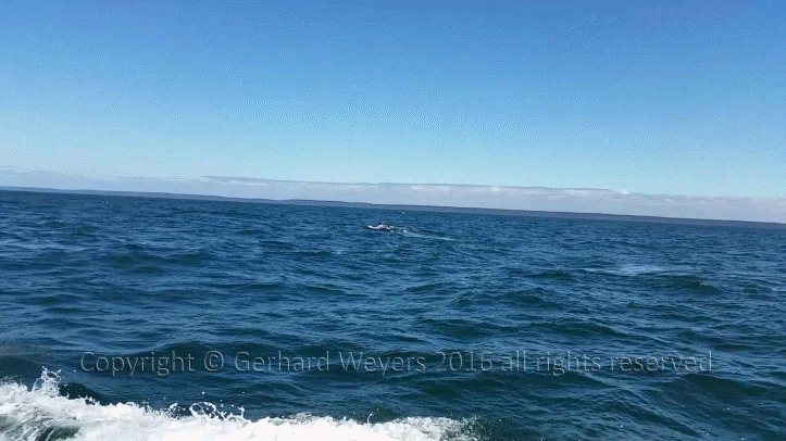 20160902_143805_2788